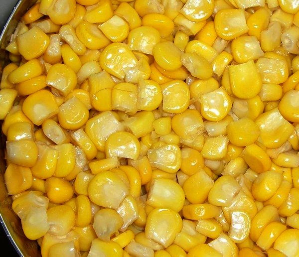 big water carp fishing