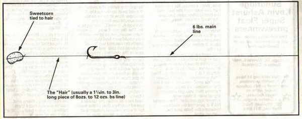 old carp fishing rigs blog