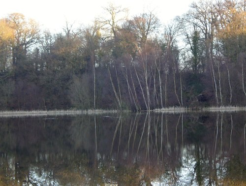 Nick Burrage Carp Fishing Interview