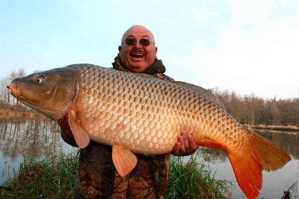 Carp Fishing France at Jonchery #7