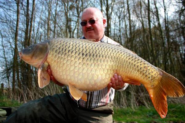 Carp Fishing France at Jonchery #7