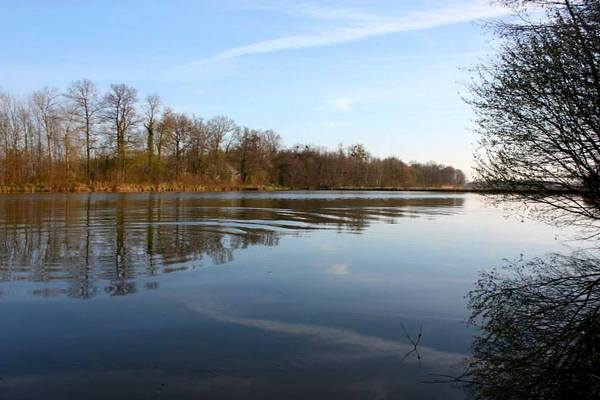 Carp Fishing France at Jonchery #7