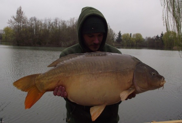 Molyneux French Carp Lake