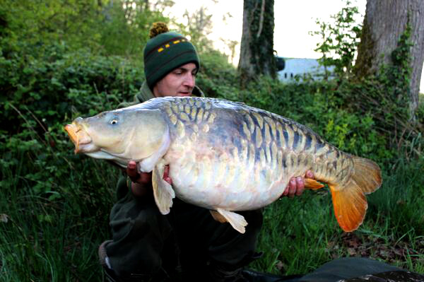 Scaley Carp Fishing in France at Brie