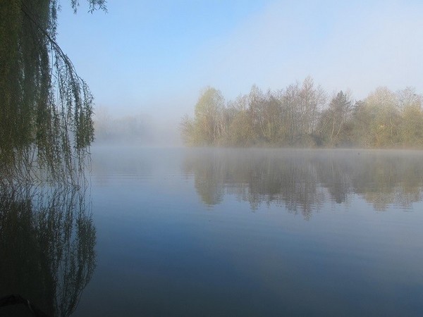 Molyneux French Carp Lakes