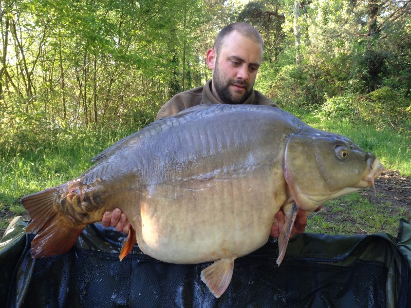 Old Oaks Carp Fishing in France