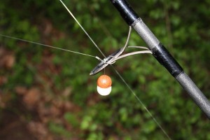 Carp fishing in france film with angling lines