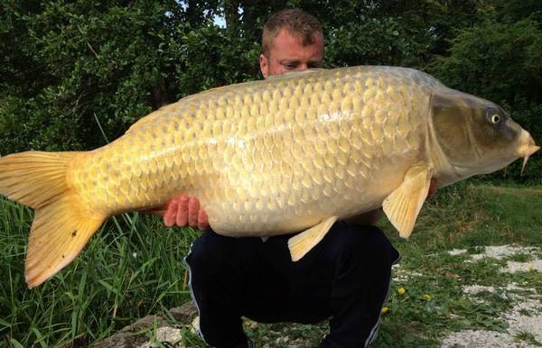 Jonchery carp fishing holidays in france