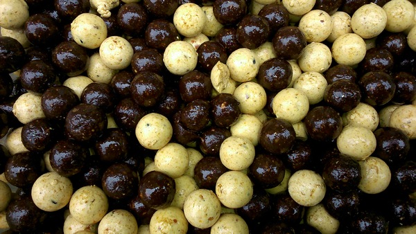 Carp Fishing Tips Shaun Harrison Blog