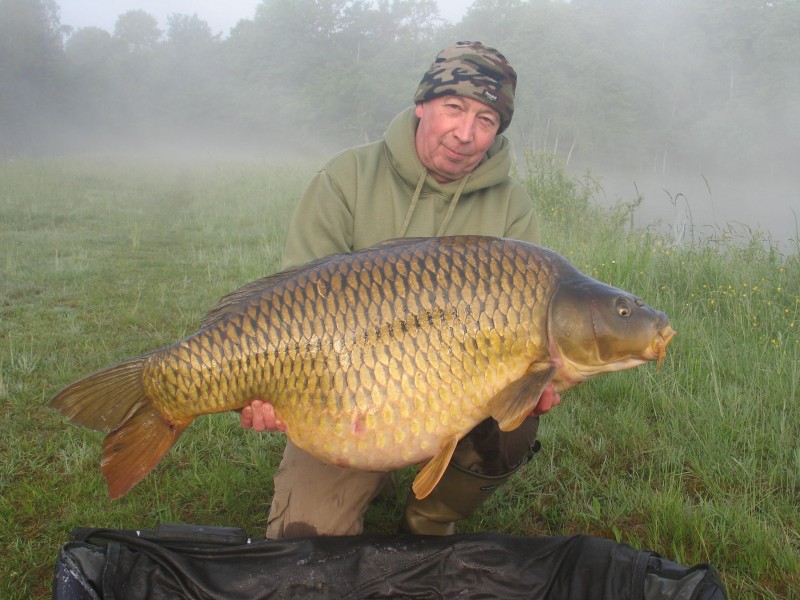 53lb Common