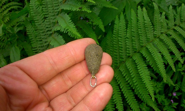 Carp Fishing Tactics and Tips Blog