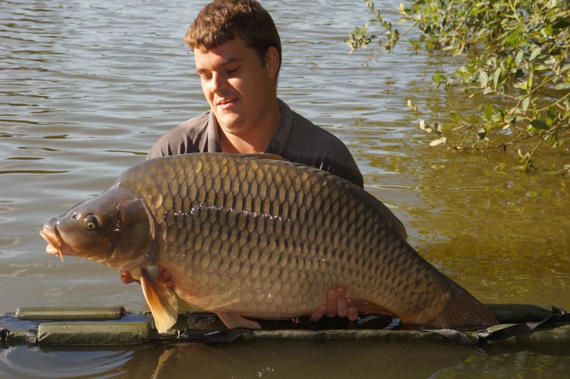 Lillypool French Carp Fishing Lake