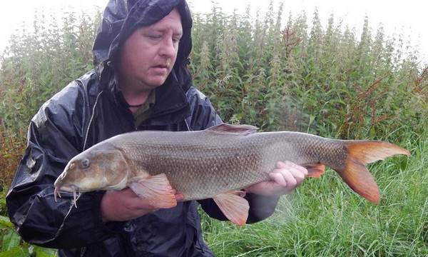 River Trent barbel fishing blog