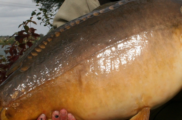 Carp Fishing Tips Shaun Harrison