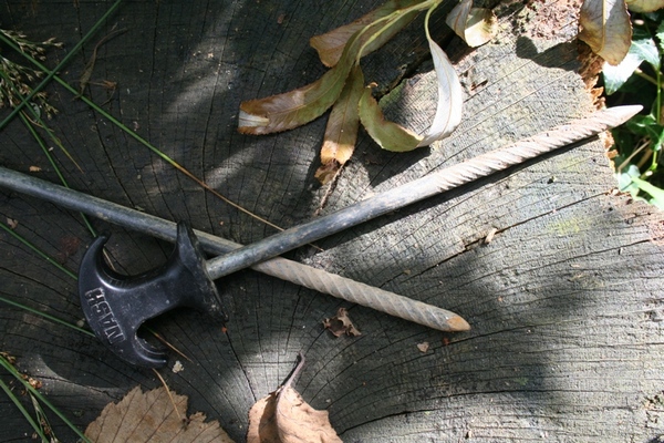 Carp fishing tips and articles Shaun Harrison