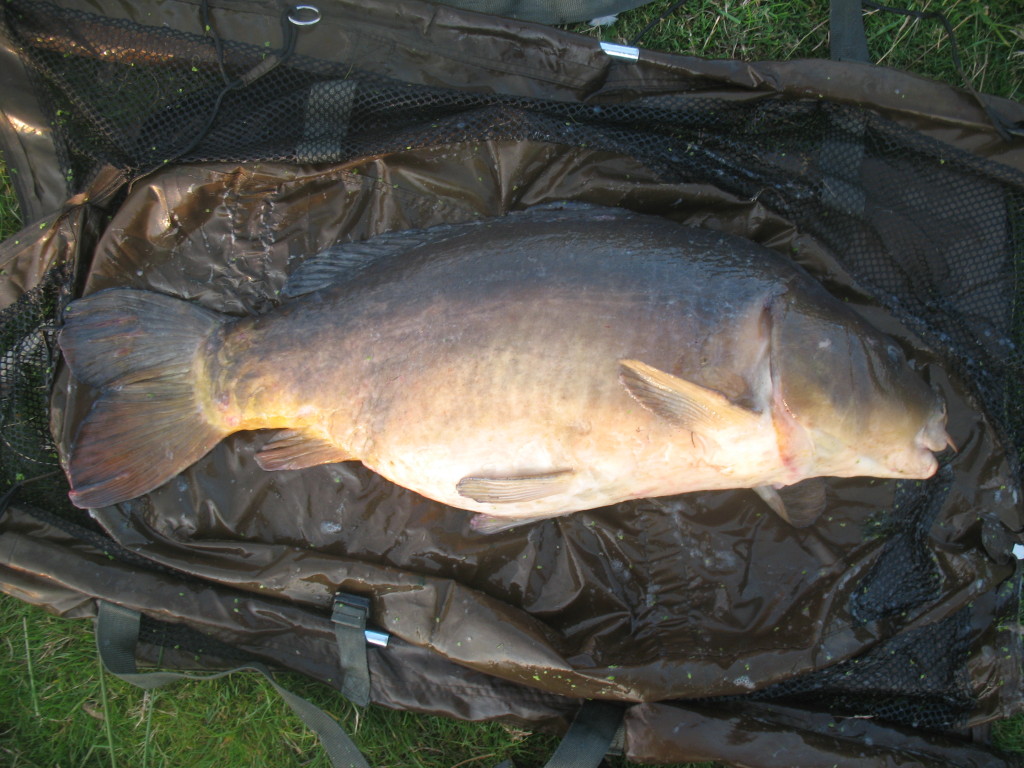 Fishing for carp on the Estate Lake in England
