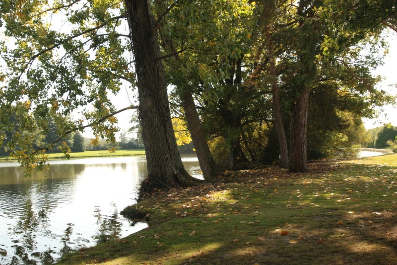 vincons carp fishing in france with accommodation