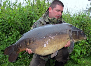 why does carp bait work