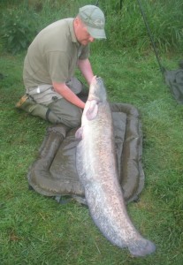 best baits to use to catch carp