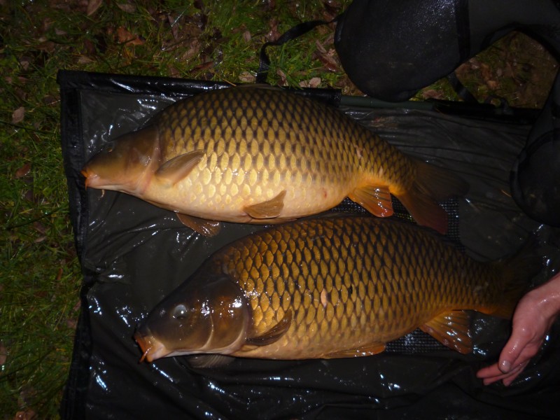carp fishing in France lillypool