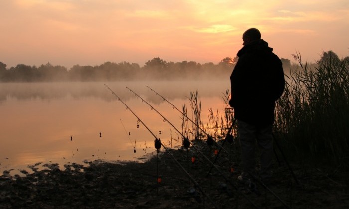 8 Ways To Choose The Right French Carp Fishing Lake