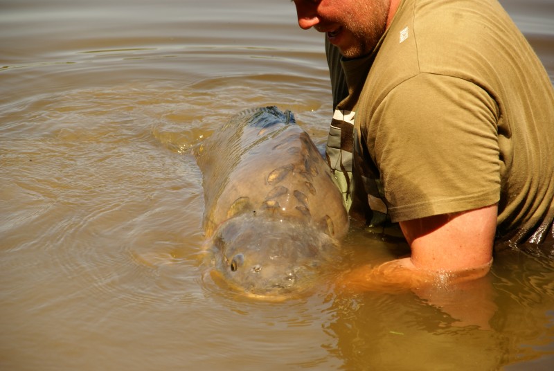 Carp fishing in France at Villefond
