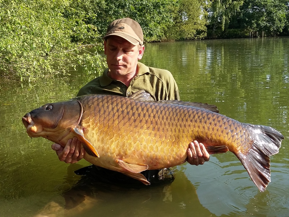 big carp at Old Oaks lake in France