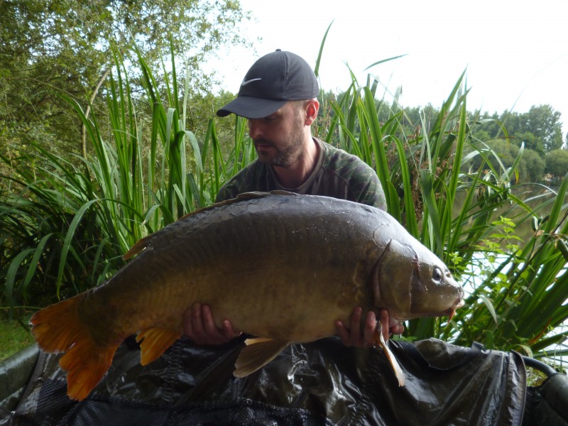 french carp fishing at Lillypool