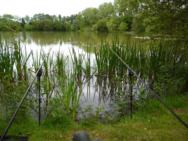 french carp fishing at Lillybelle