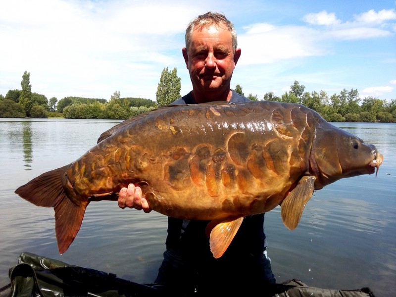 stunning scaley mirror carp  at Laroussi