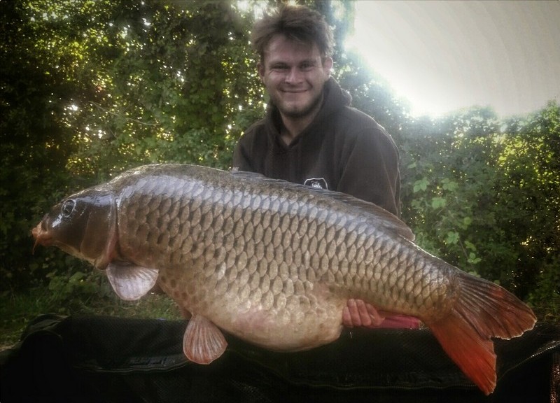 big common carp at Jonchery french carp lake