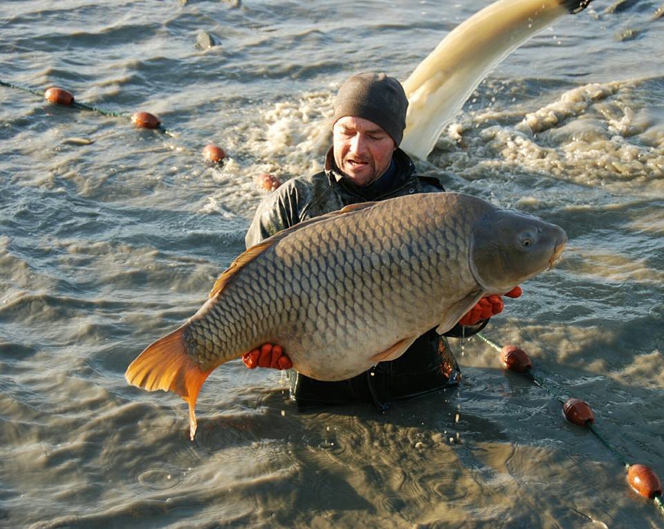 Jonchery Carp Fishing in France