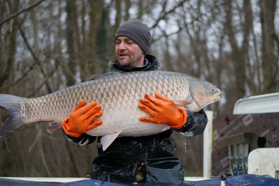 brocard small carp lake in france