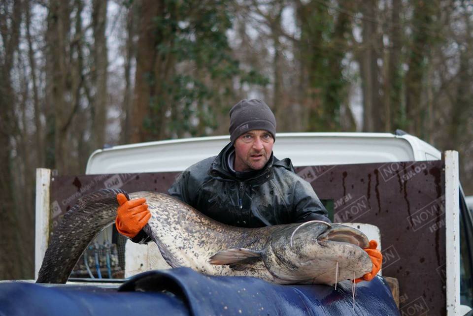 CARP FISHING FRANCE AT BROCARD SMALL