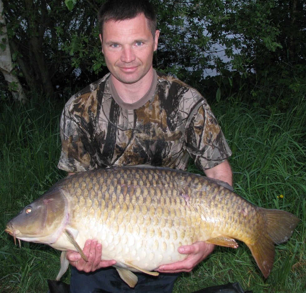 laroussi fifty pound common carp