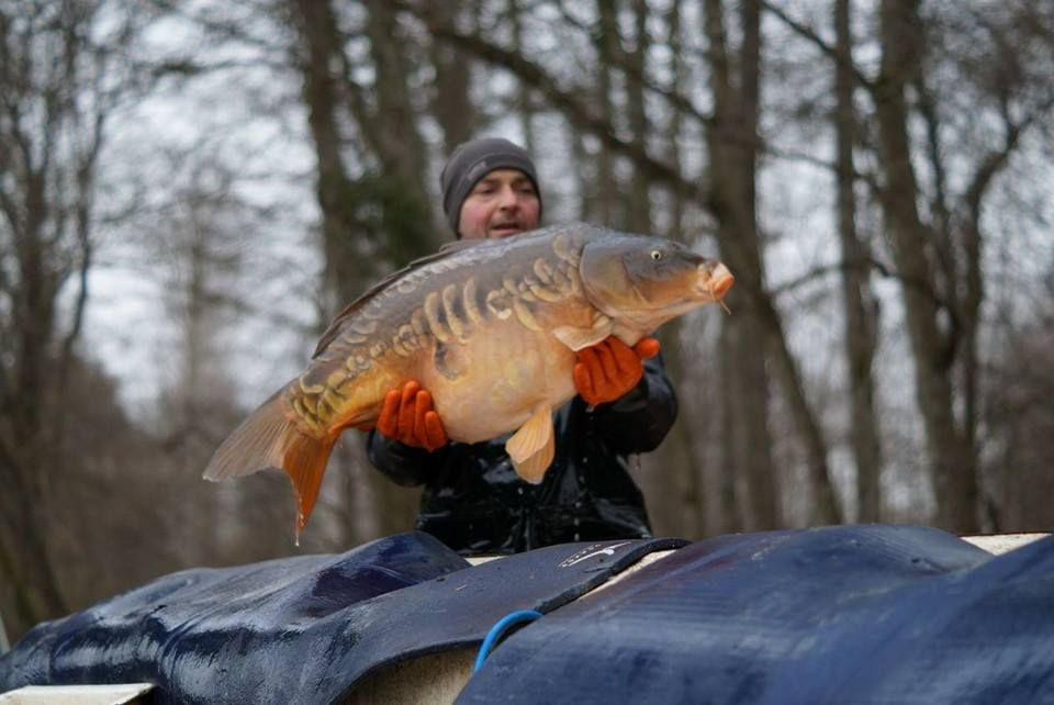 brocard small carp lake in france