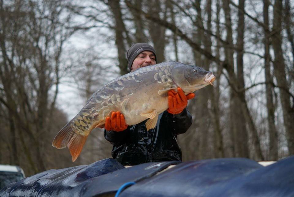 CARP FISHING FRANCE AT BROCARD SMALL