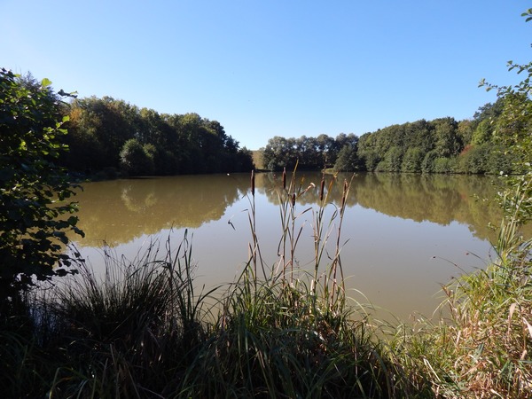 small carp lake in france jonchery 7
