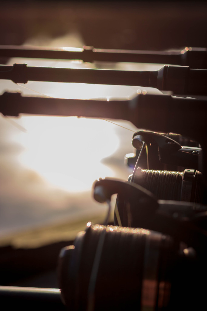 Carp fishing rods at sunset by Mike Linstead