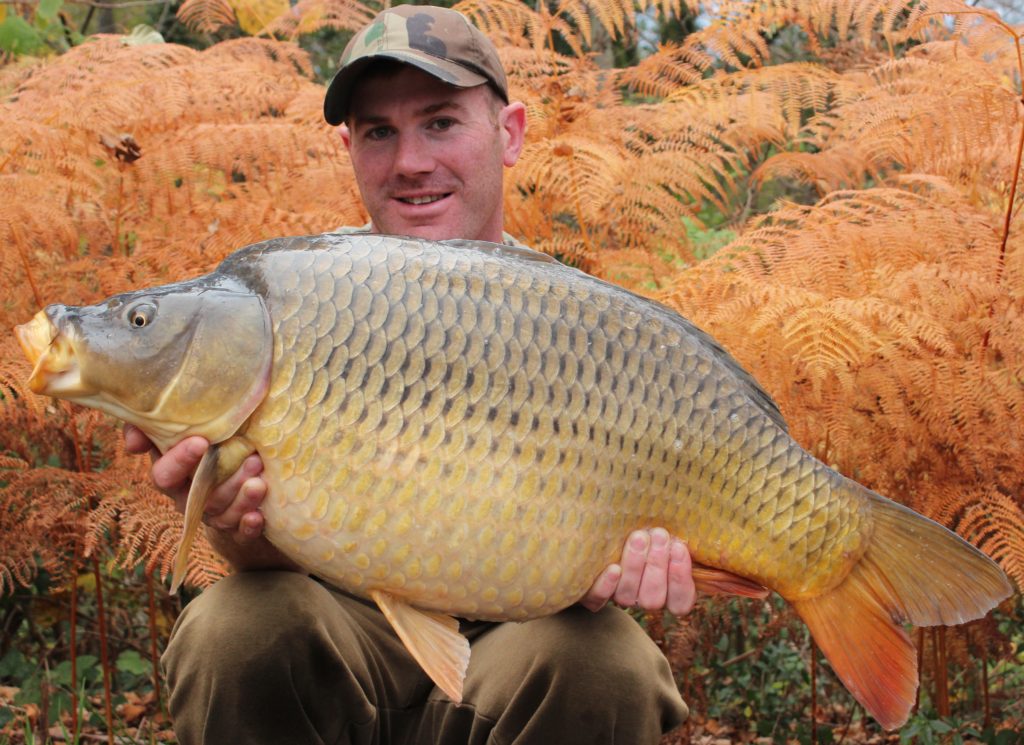 Matt Linstead with a stunning French common carp