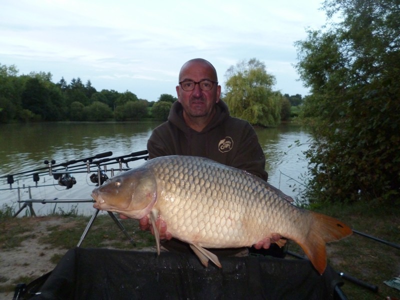 french carp lake lillybelle