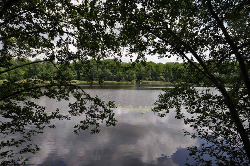 barringtons carp fishing in france