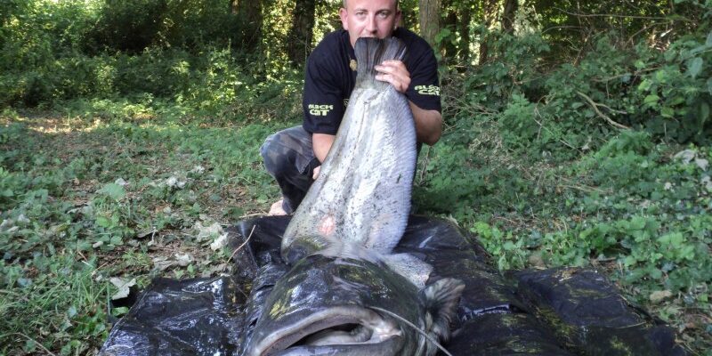 vaumigny big catfish france
