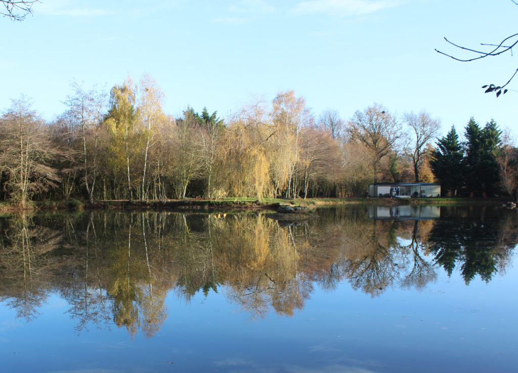 small exclusive carp fishing lake in France