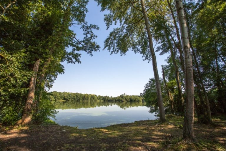 Looking for the best carp and catfish lakes France? Here are our top 7