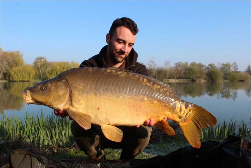 French carp at Seigneurie lake