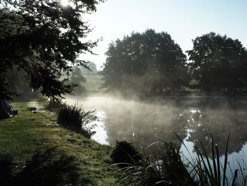 carp fishing for tricky carp