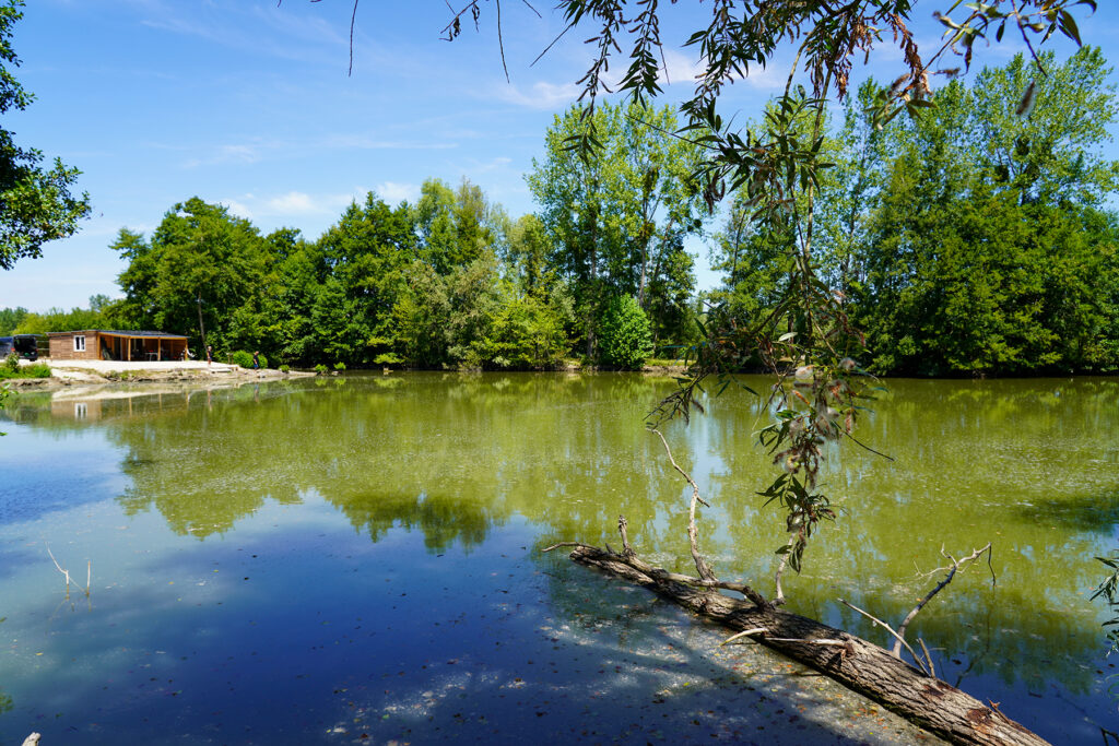 Le Repaire Carp Fishing Lake with log cabin