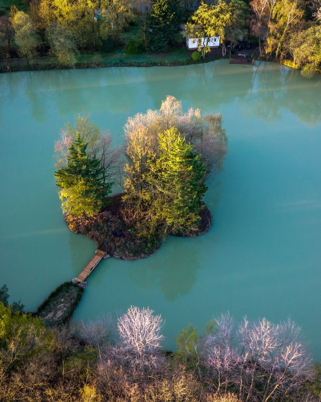 Eau de Vie North easy carp fishing lake in France
