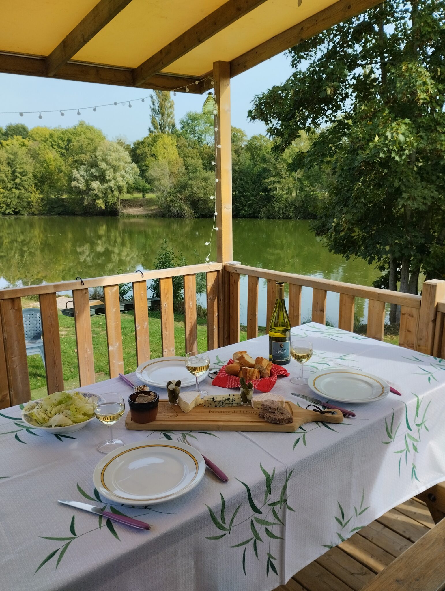 Fancy A Shorter Drive? 7 Lakes for Carp Fishing Near Calais